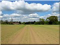 Wood Barn Field (2)