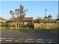 House on Blunden Road