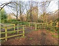 Path to Birchett Road