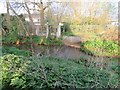 Small weir on Cove brook