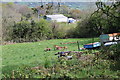 Hillside meadow, Twyn Wenallt