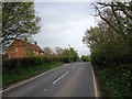 Tonbridge Road, near  Chiddingstone