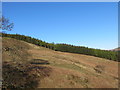 NM5442 : Forest edge above Coire Phollachaidh by John Ferguson