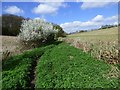 Farmland, Chepping Wycombe