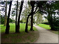 J1486 : Pathway and trees, Antrim Castle Gardens by Kenneth  Allen