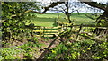 Stile on footpath between Hedley on the Hill and Mickley Moor