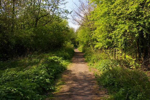 Path along abandoned railway line, Mill Hill