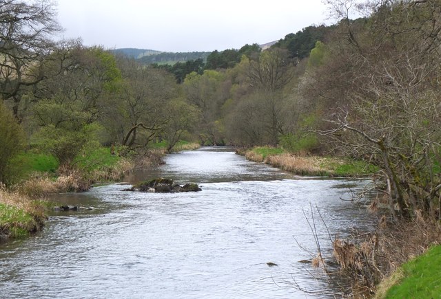 The Tweed upstream of Lyne