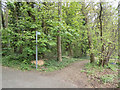 Footpath on London Loop, Moor Park