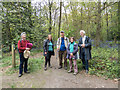 Path through Oxhey Woods, Oxhey