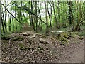 Remains of a derelict cottage, Walderslade Woods