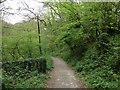 Tunbury Avenue, Walderslade Woods