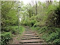 Tunbury Avenue, Walderslade Woods