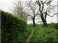 Footpath at Weedon Lois