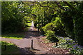 Path along the side of Woodcroft Park