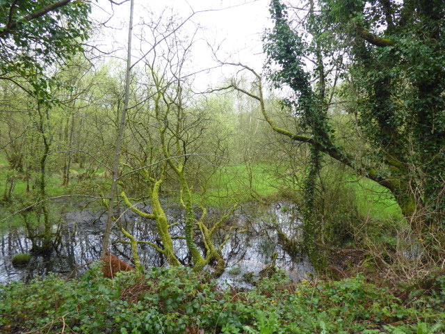 swampy-ground-tattynagole-kenneth-allen-geograph-ireland