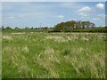 Farmland opposite Woodend Farm