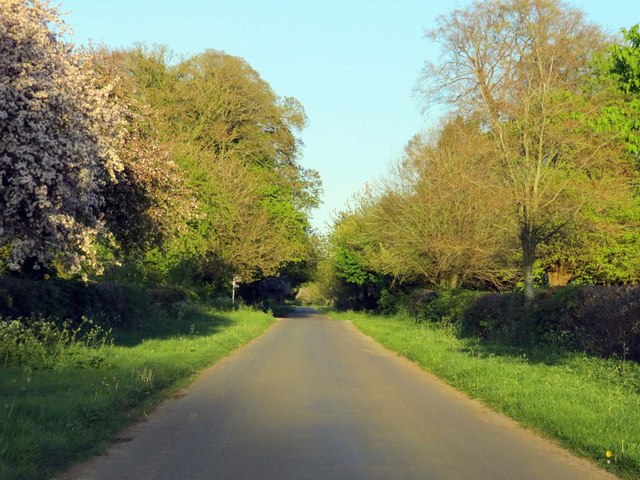 Rural road to Chadlington