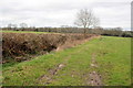 Field near Fordwater