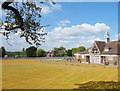 Yellow Grass on the Cricket Pitch