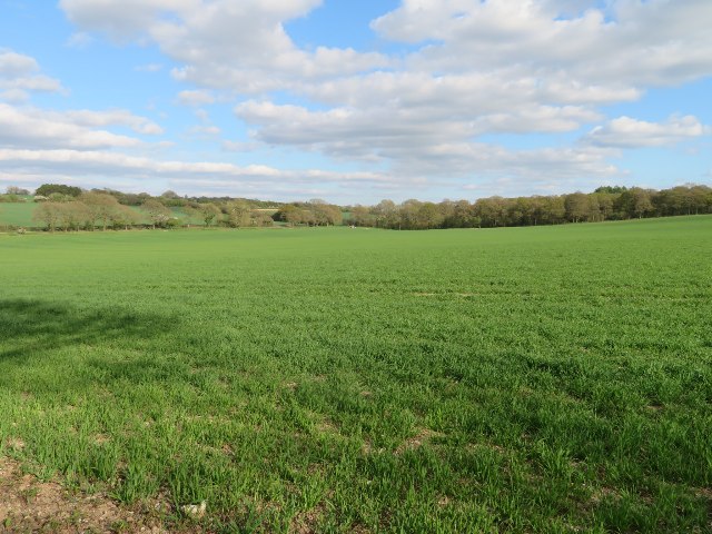 Farmland east of Dummer Down Farm