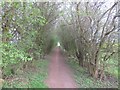 Leafy tunnel