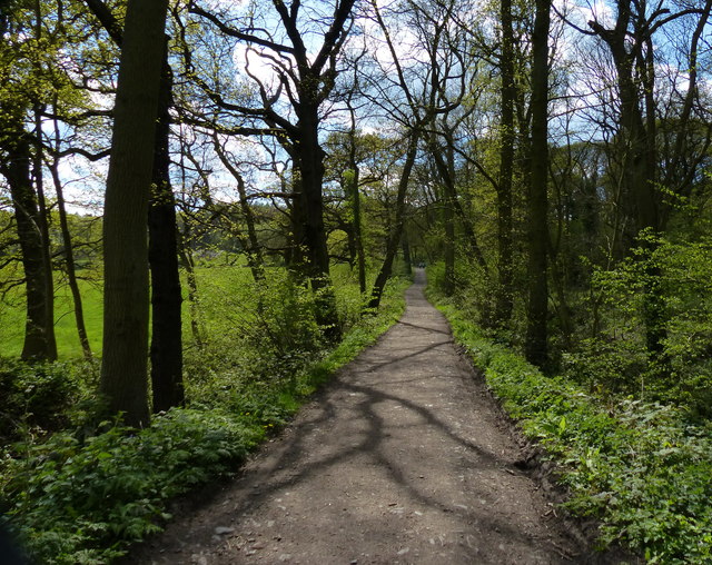 Path through Swithland Wood