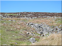 NY9049 : Rock outcrop on Riddlehamhope Fell north of Heatheryburn by Mike Quinn
