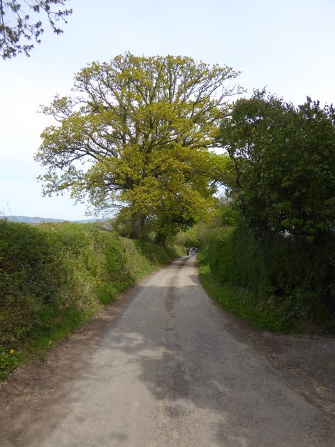 Road down Tinpit Hill