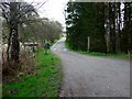 The road from the carpark at Kinlochard