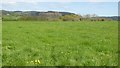 View to Wortley Hill