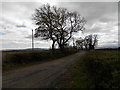 Farm road to Innercraigie