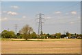 Pylon in field