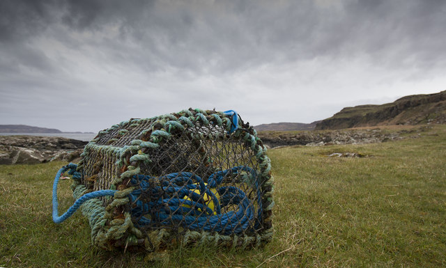 A lonely lobster pot