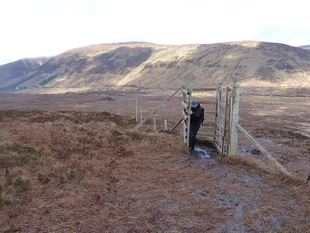 Gate in deerfence on the hillside