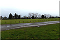 Playing Field at Diss Sports Ground