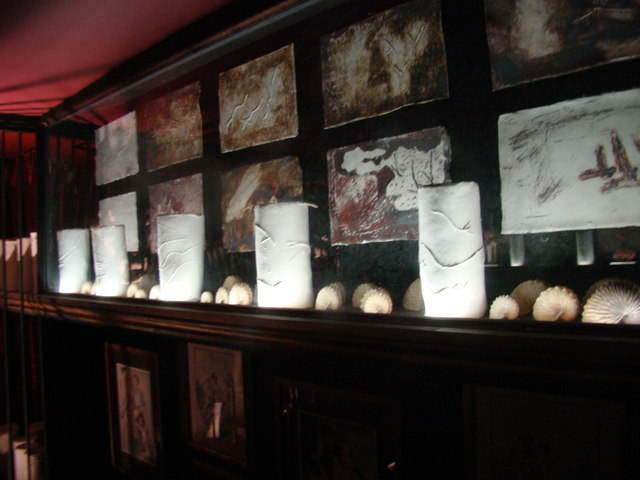 View of shells in the rear of the Viktor Wynd Museum of Curiosities