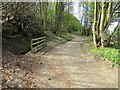 Path past Lomondside Cottage, Falkland