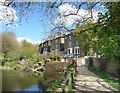 Overlooking Hampstead Ponds