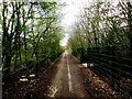 SU5197 : Footpath and cycleway to Barton Lane by Steve Daniels