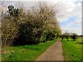 Cycleway by Barton Field