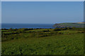 View north-eastwards from Trecadifor towards Newport Bay