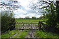  : Gate near Boundary Farm by DS Pugh