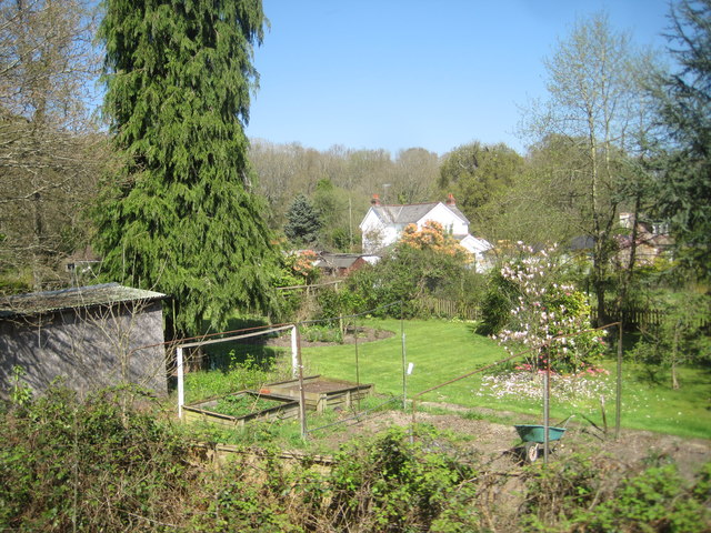 View from a Totton-Fawley train - Gardens on Veal's lane