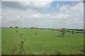 TL5003 : View of a rolling green field between North Weald and Blake Hall from a diesel train on the Epping-Ongar railway by Robert Lamb
