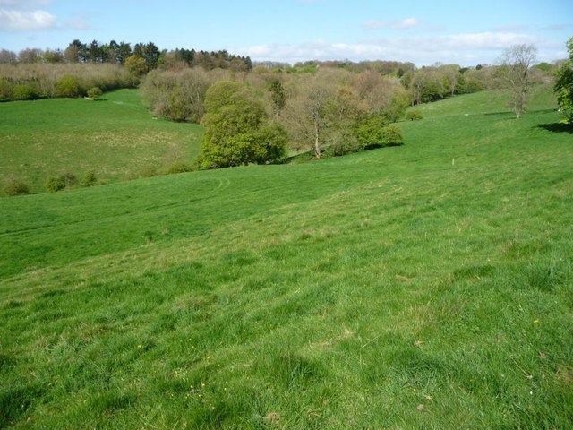 Wooded valley, Notgrove Estate