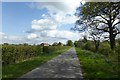 Looking towards Laytham Green Farm