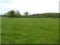 Field beside Haycroft Lane