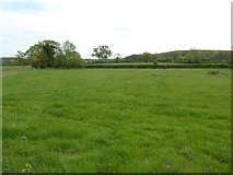 ST7096 : Field beside Haycroft Lane by Philip Halling