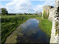 TQ6404 : Pevensey Castle - The moat from the bridge by Rob Farrow